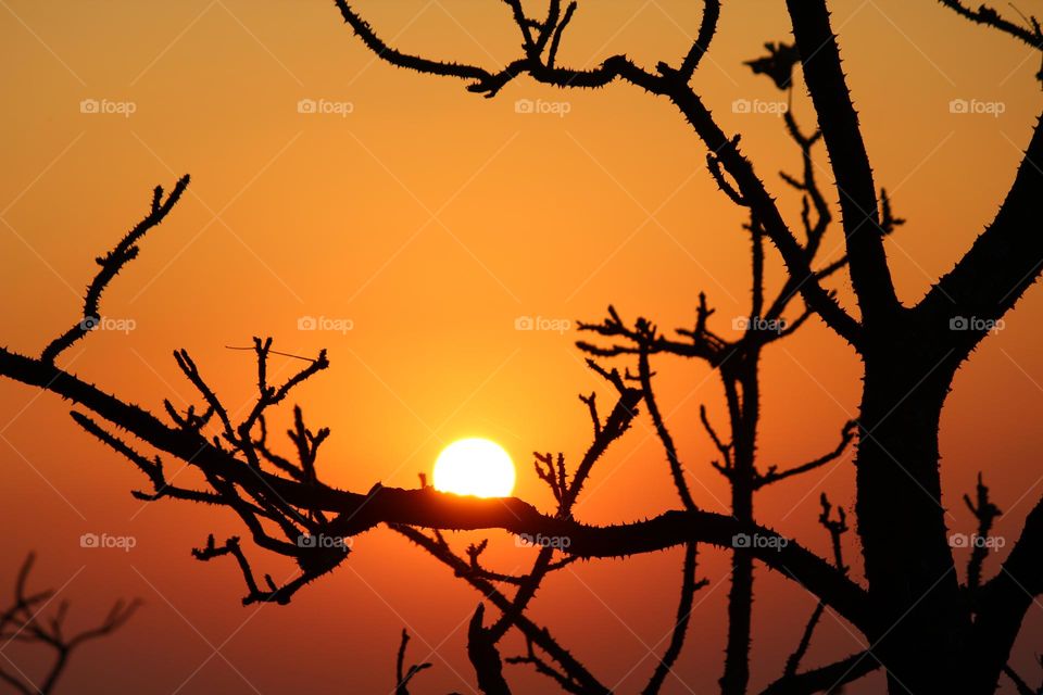 Sunsets are beautiful 😩