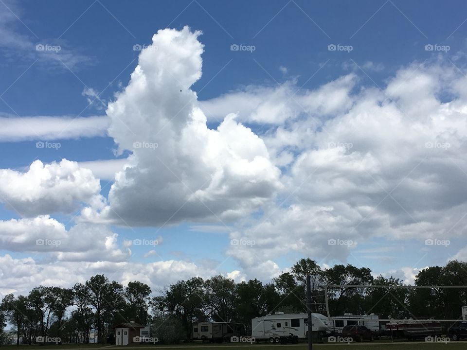 Cloud that looks like a bird. 