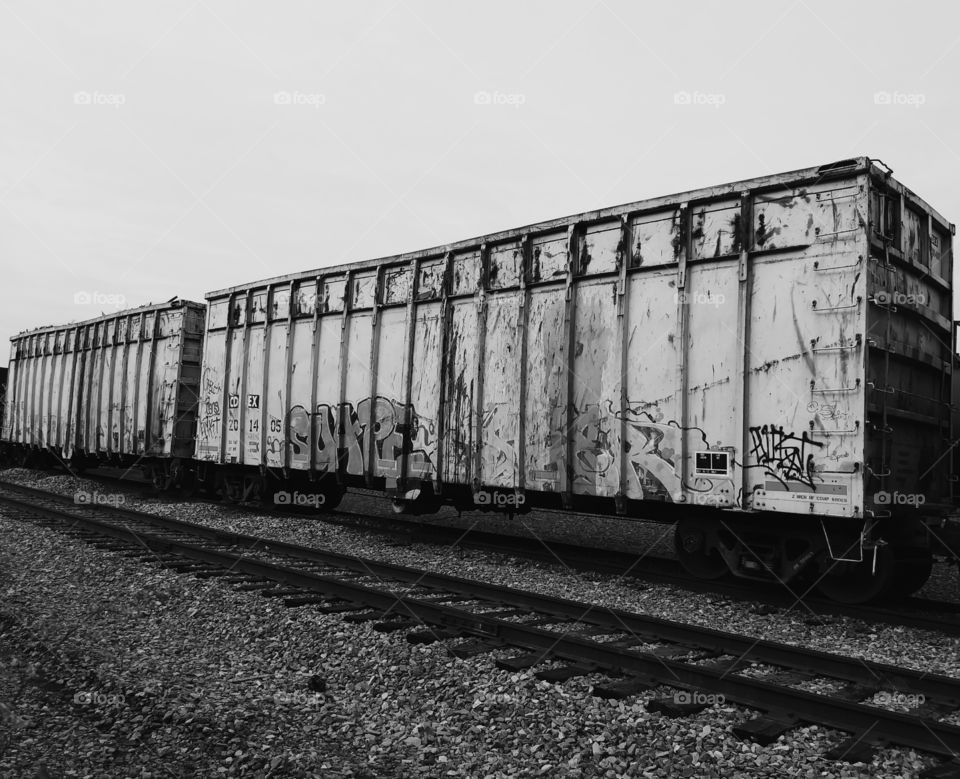 Graffitied boxcars