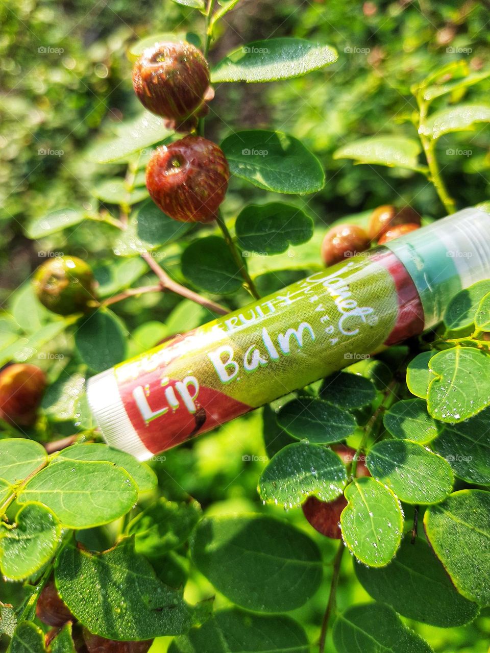 janet tutty fruity natural lip balm and Black Honey Shrub tree