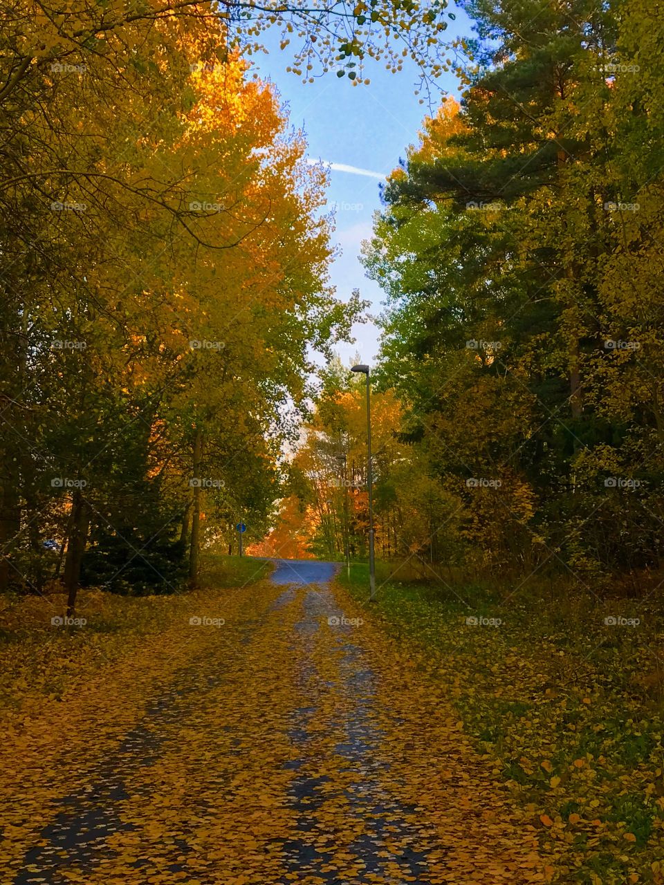 An afternoon in October 