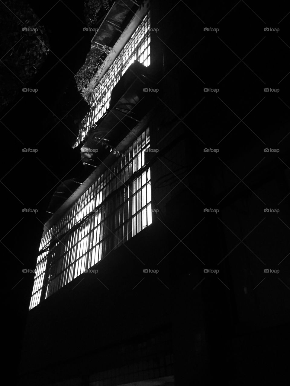 Whites and contrasts 