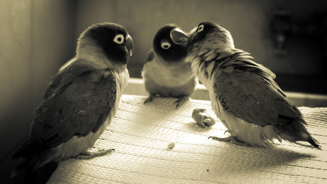 Playing with my heart