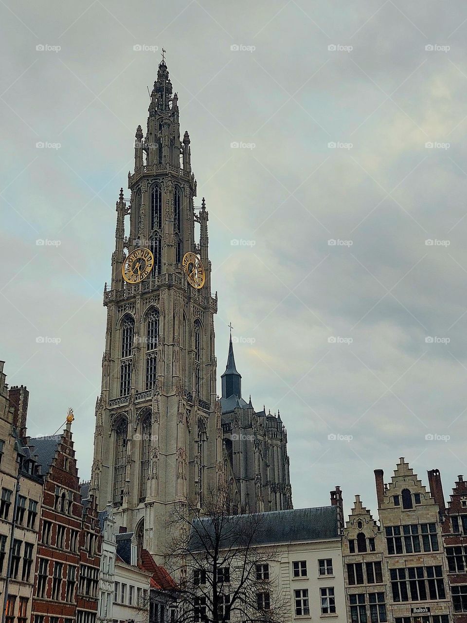 Antwerp's cathedral