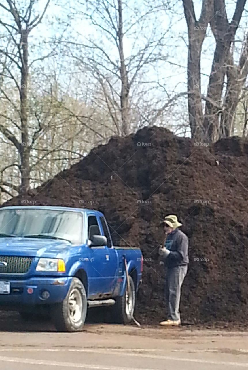 mulch for the garden. man filling truck with mulch