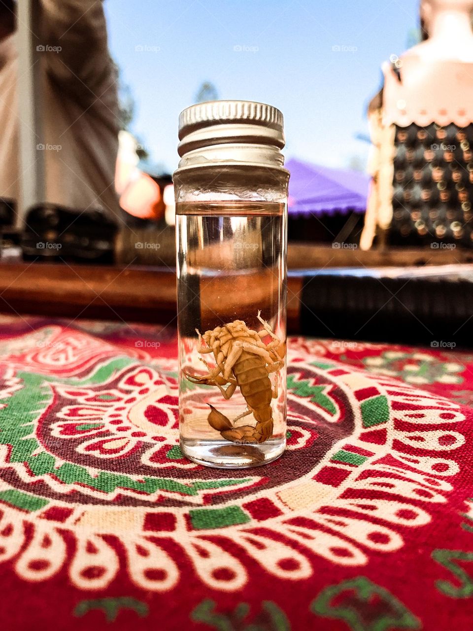 A scorpion in a glass bottle at the Renaissance Faire in Visalia, California. This curio is one of the numerous items for sale at the special event.