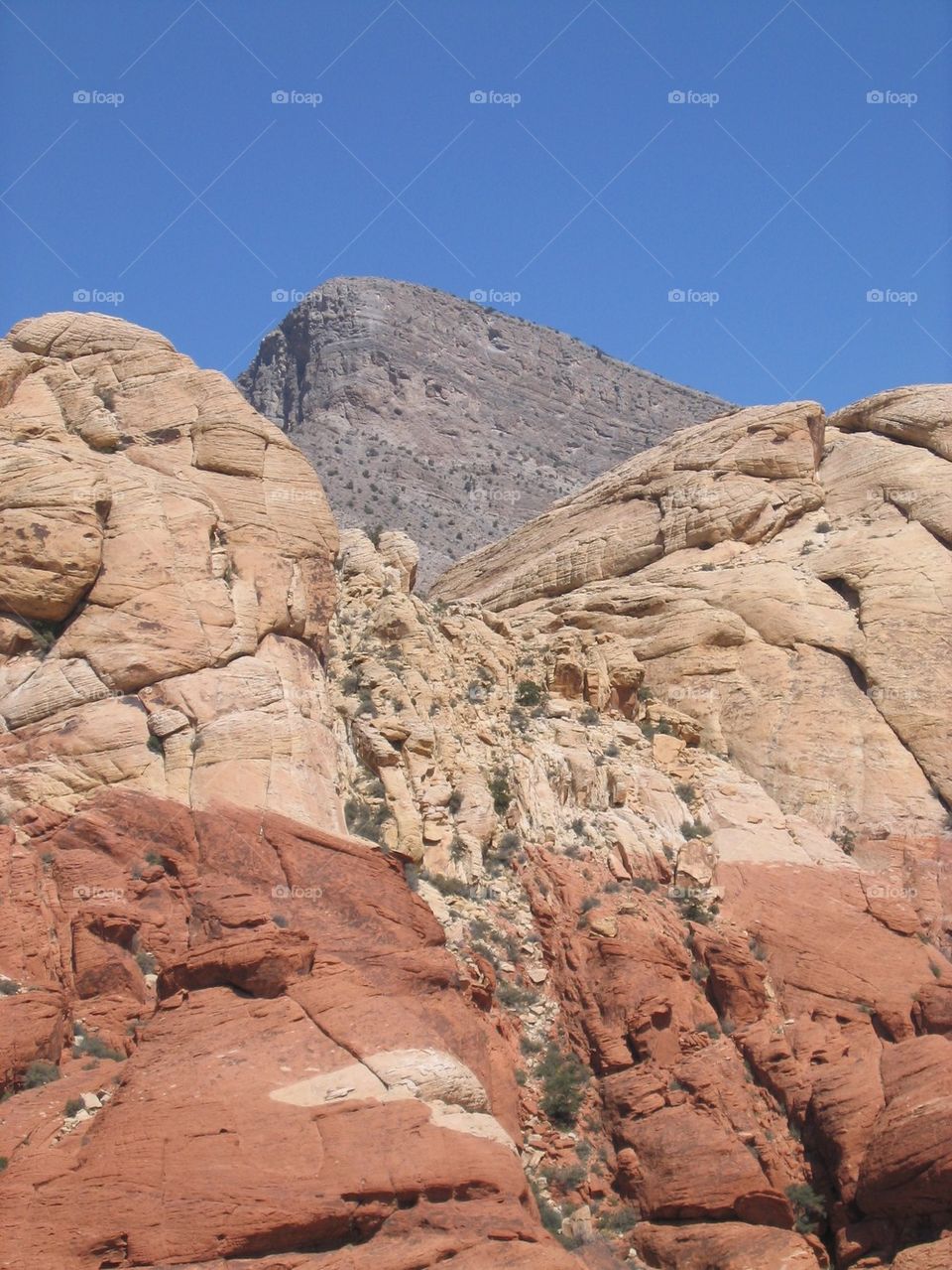 Low angle view of red rock canyon