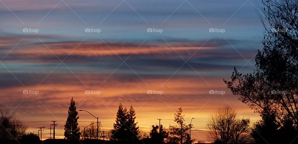 just another day in winter