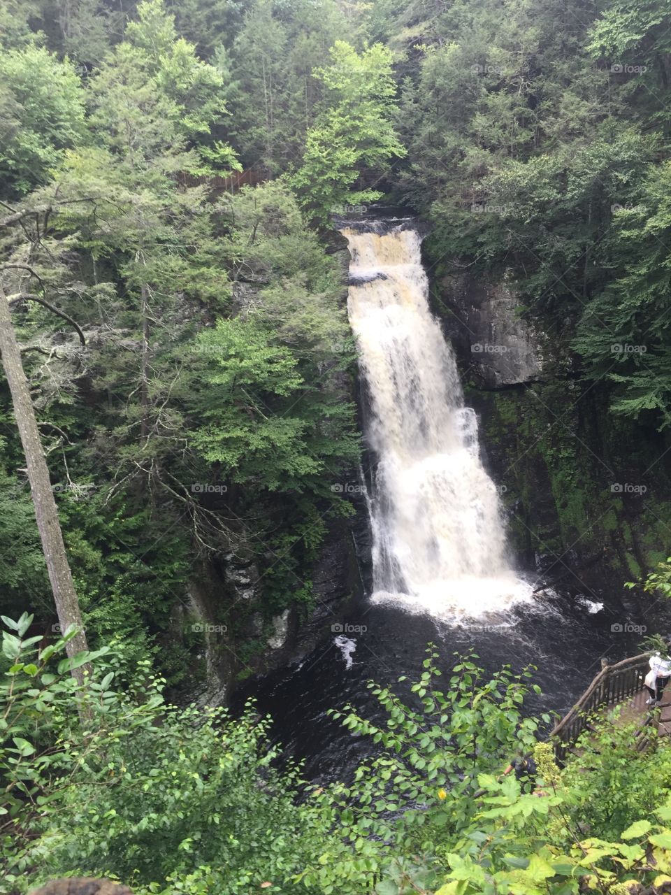 Bushkill Falls Water Fall