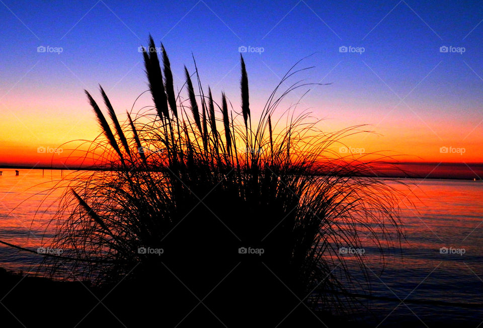 Incredible Sunset! There is nothing as diverse as nature itself. It is a beautiful place; and it is everywhere. I am a haunter of nature who loves its beauty and solitude. Take a deep breath, relax, open your eyes, and enjoy the ride through my beautiful world of nature!