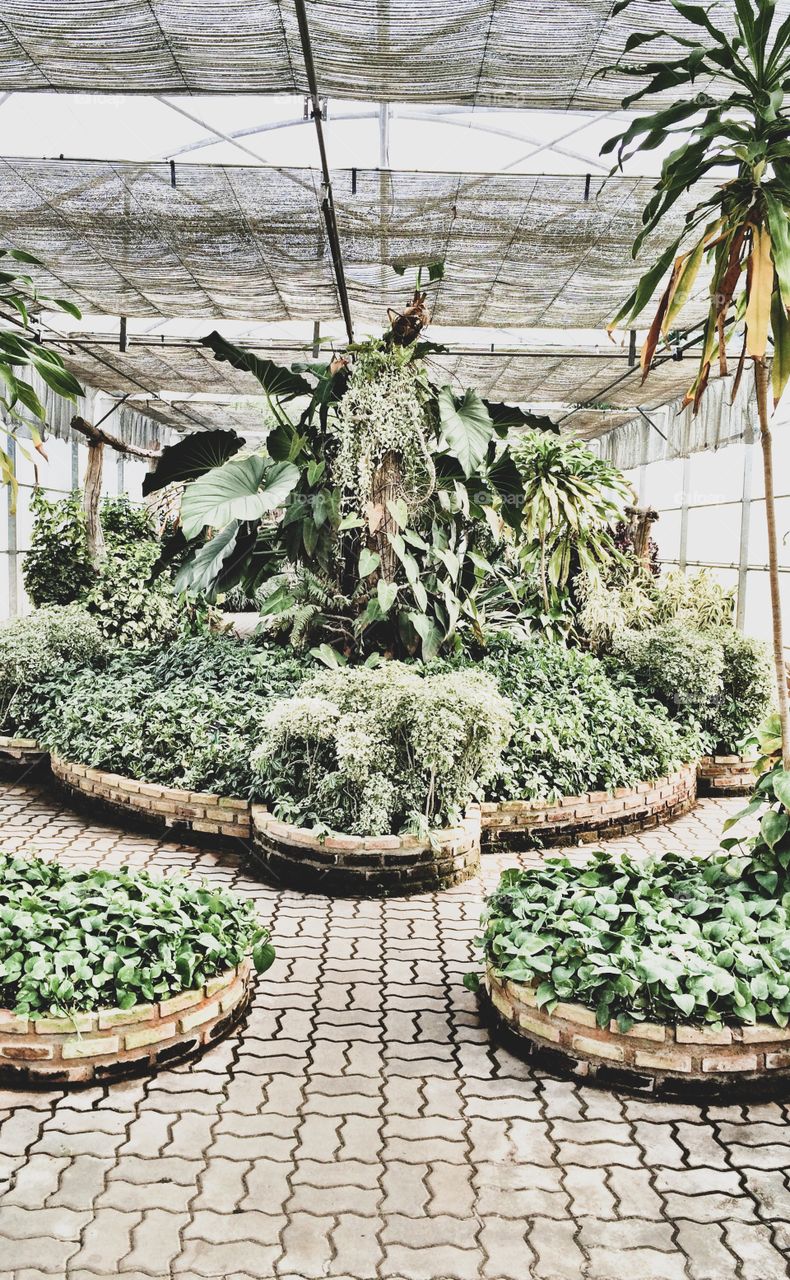 All the world’s a stage, and all the men and women merely players.