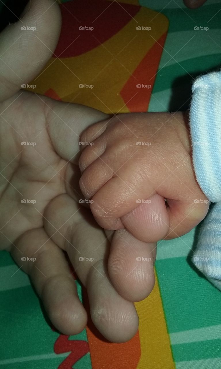 Tiny moments. my beautiful preemie, baby boy's hand