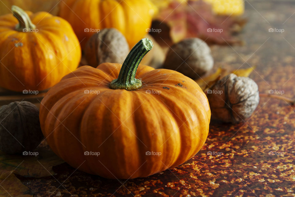 Autumn mood. Orange pumpkins. Fall decoration