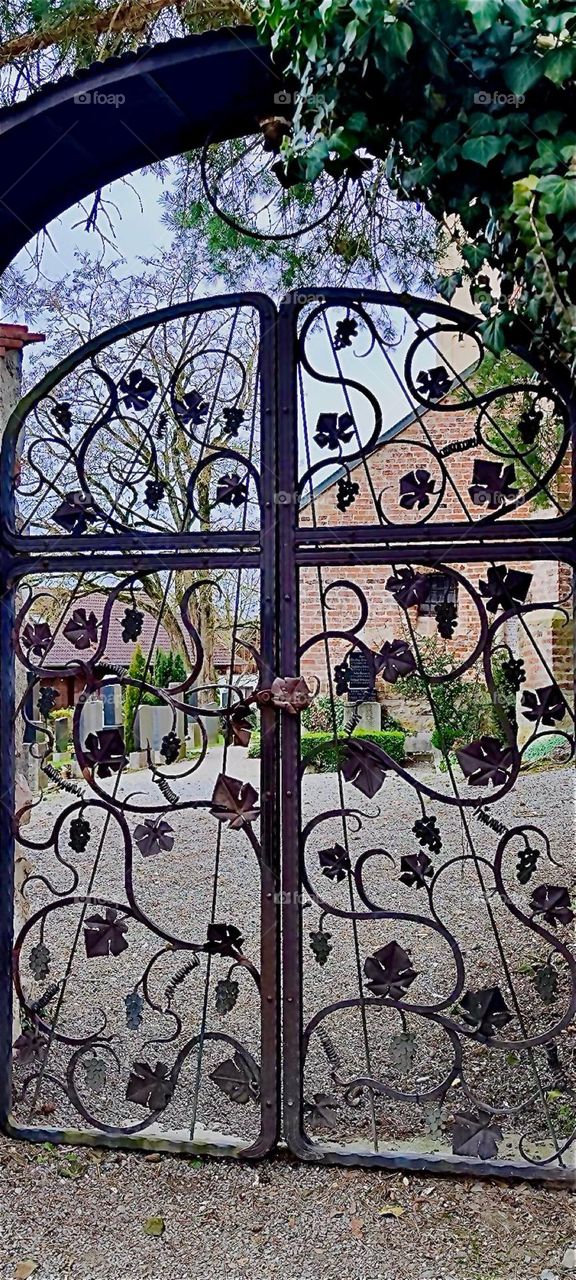 This beautiful cast iron gate opens the way to the cemetery of “Ortenburg” in “Bavaria”, Germany. The interwoven meandering branches are most likely a form of wild vine. 2024. Hypnotic Productions
