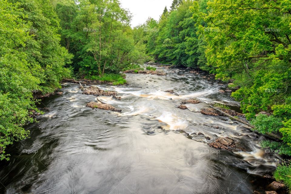 River landscape 