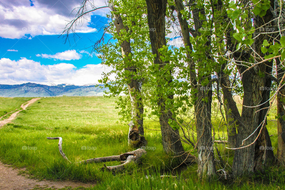 it’s in the details