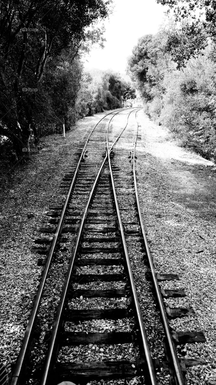 Where The Tracks Split