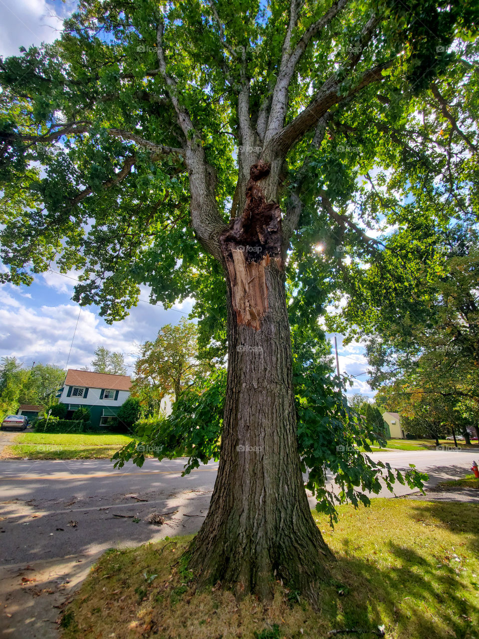 Fall TStorms And Broken Trees