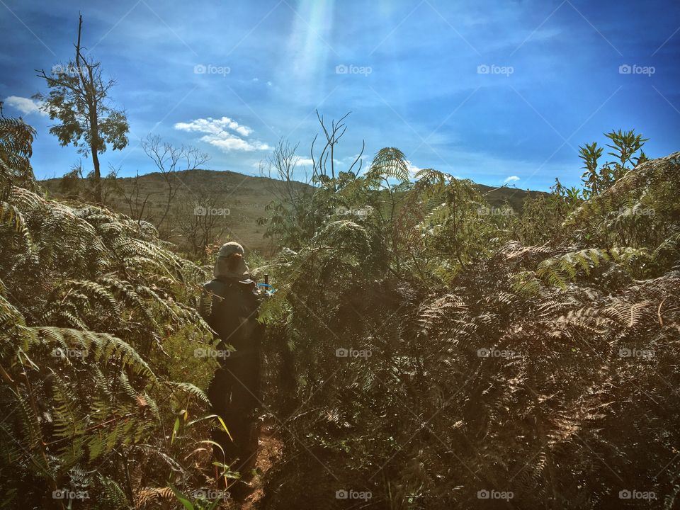 Adventure in Brazil (Trail)