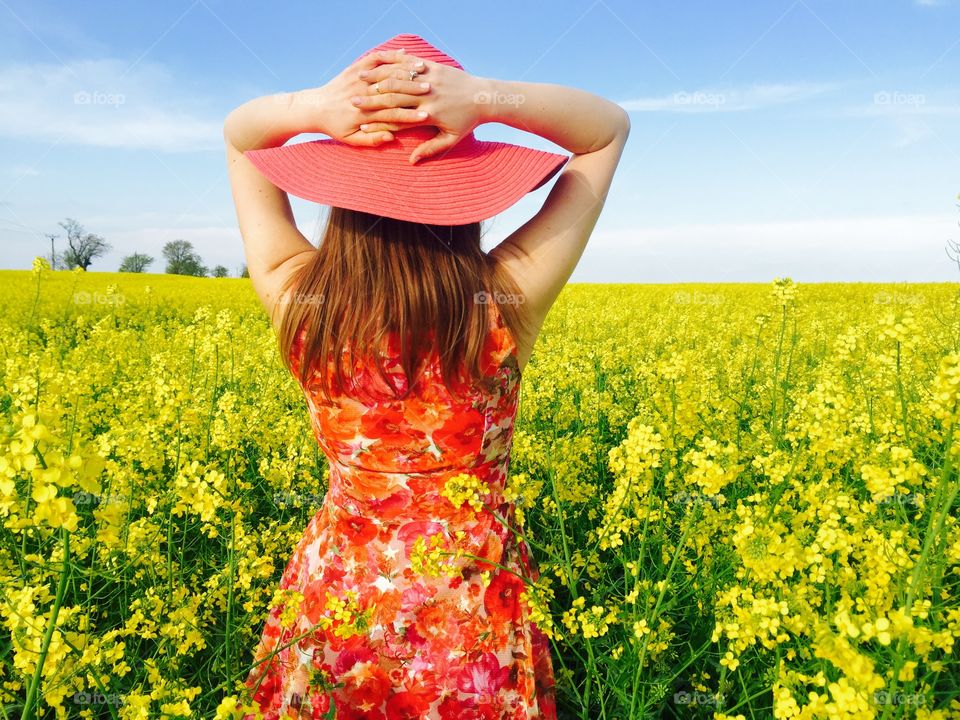 Canola field