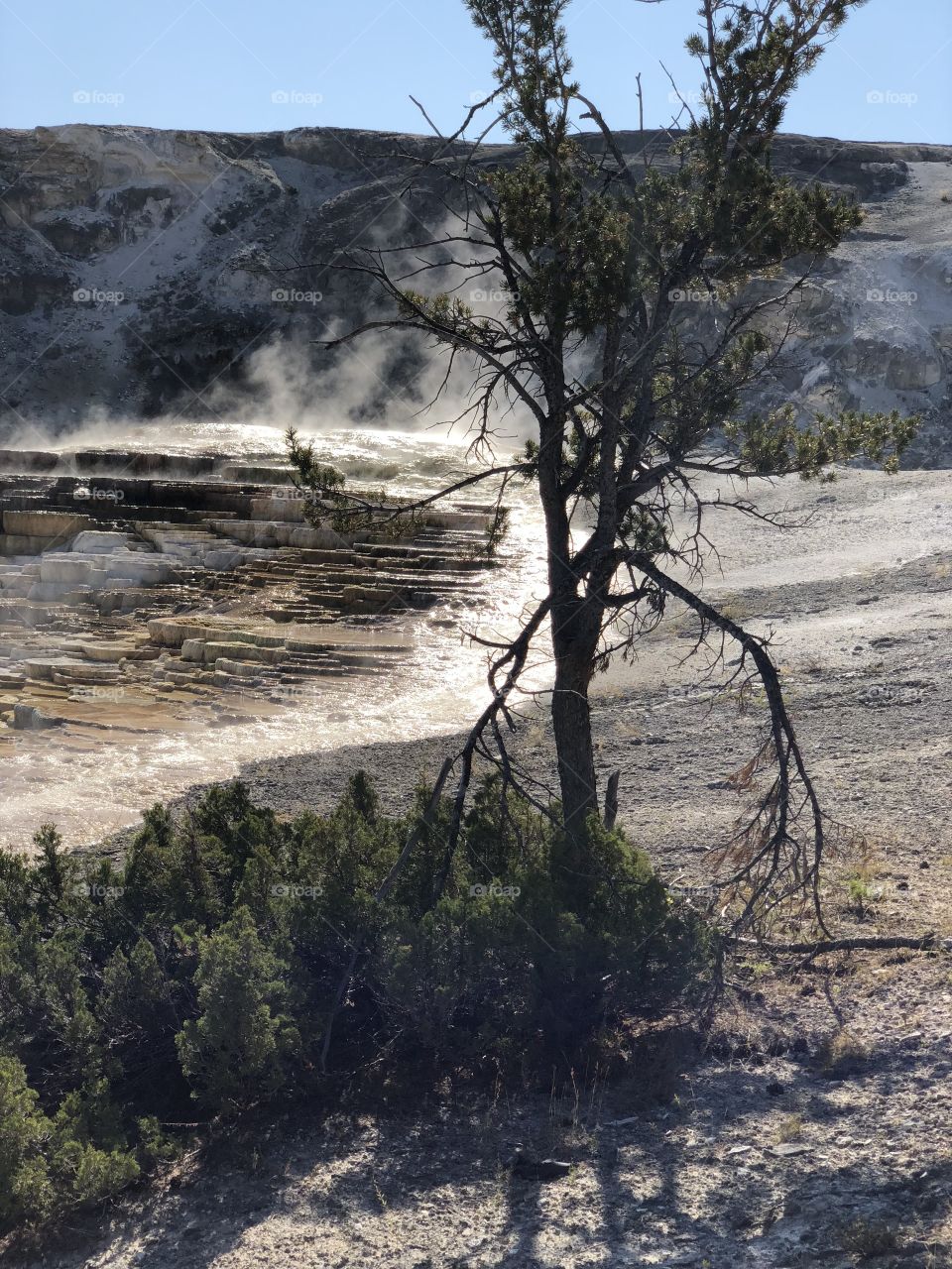 Thermal activity in Yellowstone