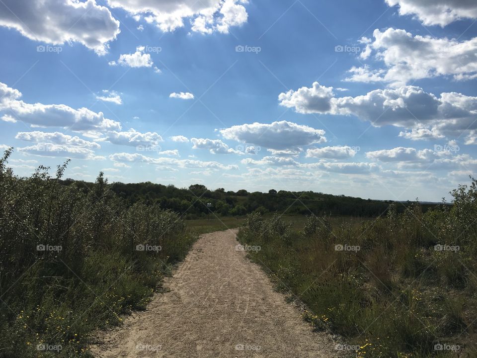 Landscape, Sky, No Person, Road, Tree