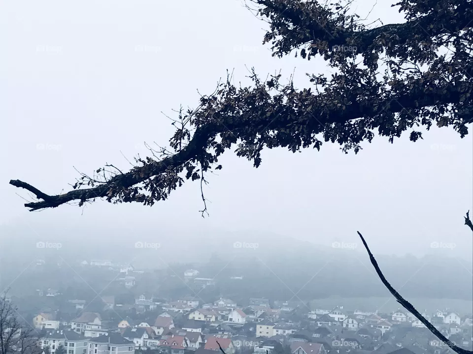 Natur