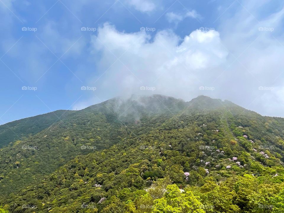 blue sky and white clouds