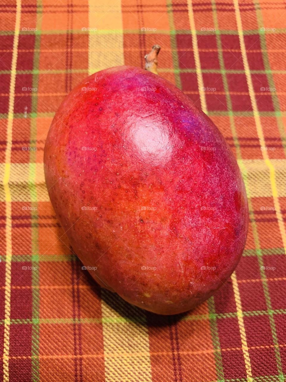 Mango ripe for the eating 