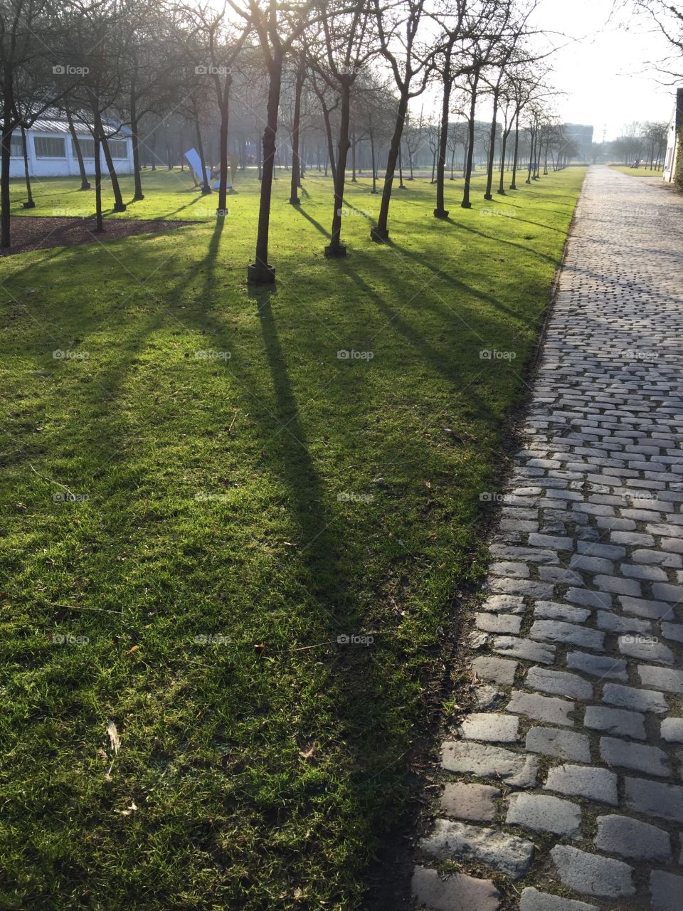 Morning in a park in Antwerp