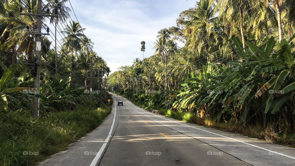 road through the jungle