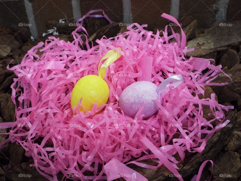 Easter birds nest
