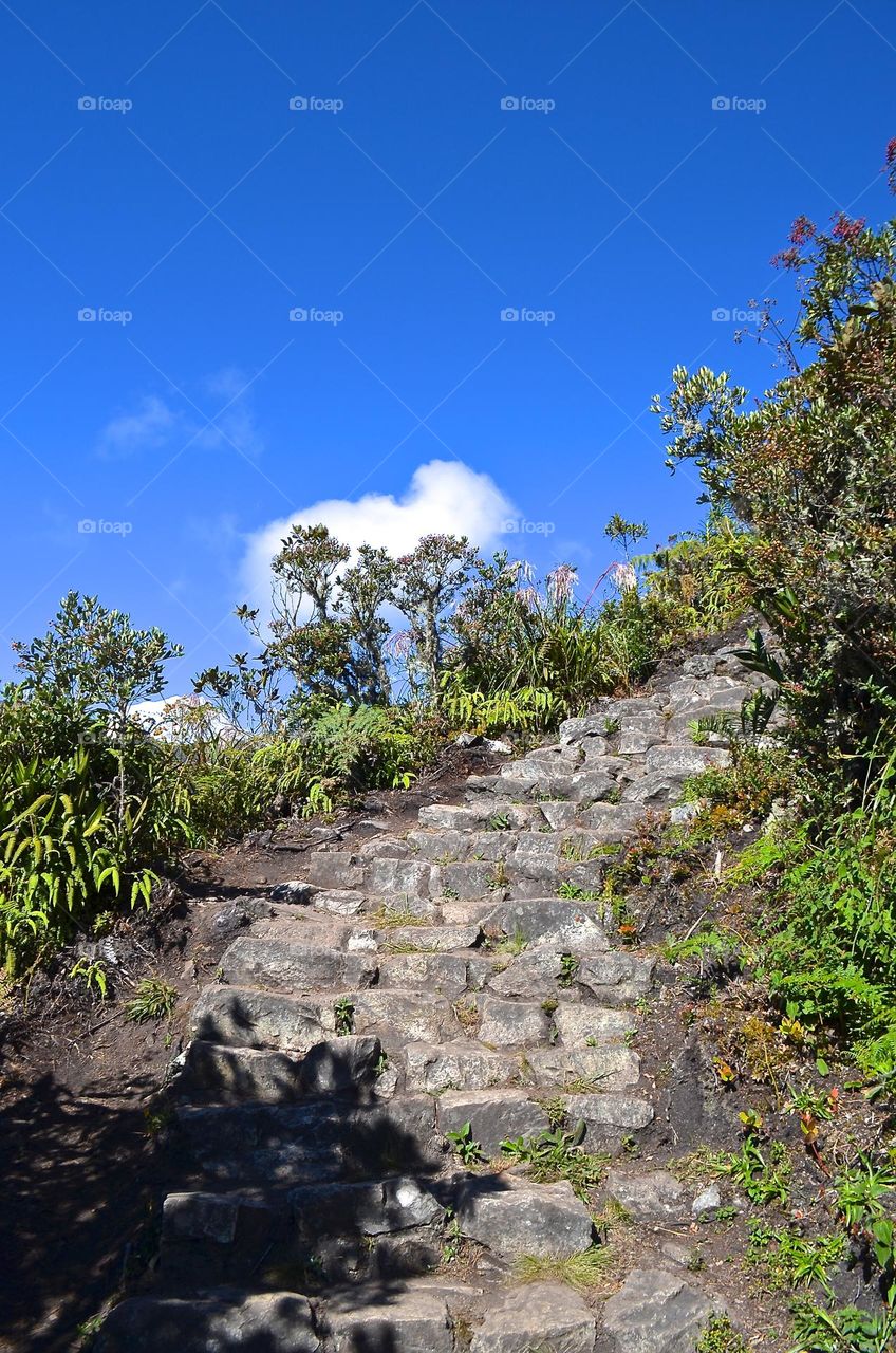 Staircase to heaven? Machu Picchu mountain might not be the tallest mountain in the world, however, it has amazing panoramic nature views of the whole area. 