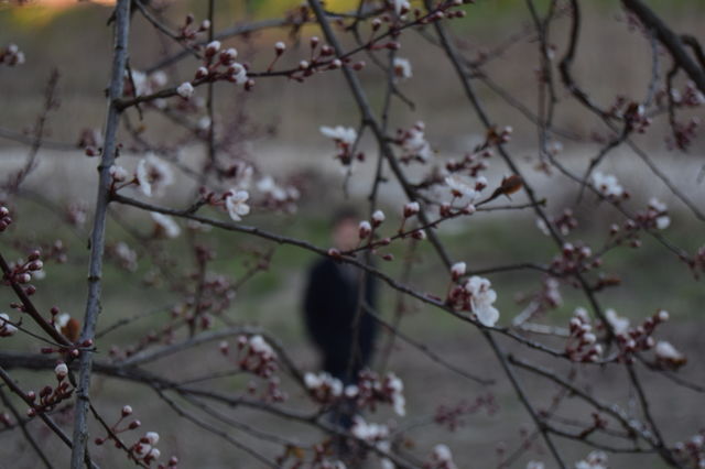 early sign of spring