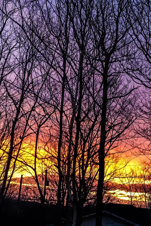Winter sunset