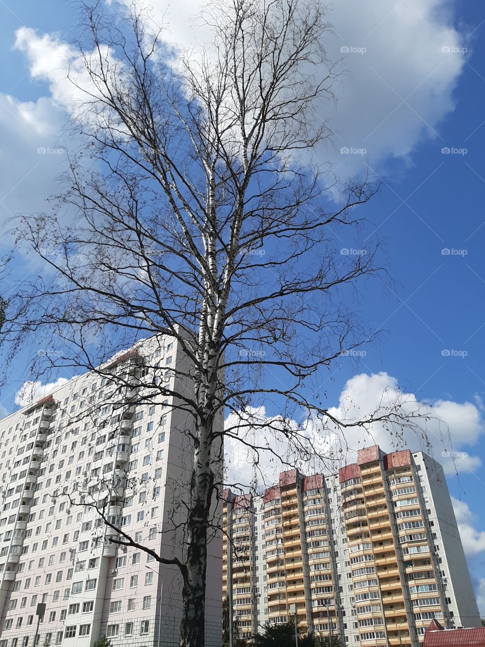 Хорошая   погодка!