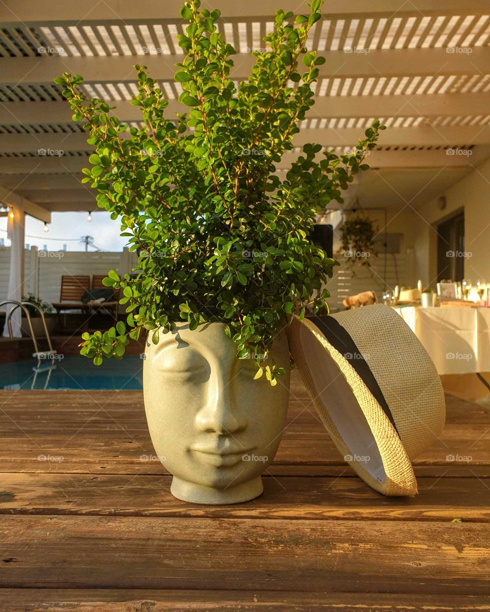 The Last Days of Summer