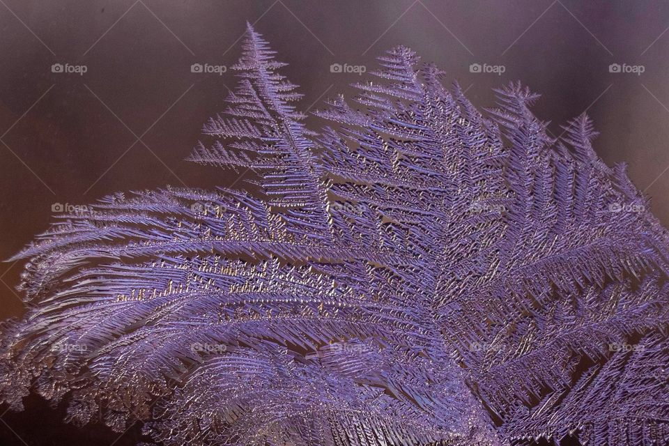 Frost on Glass