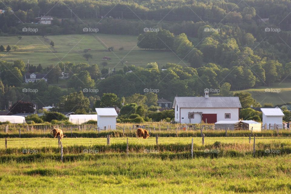 Beautiful farm at sunset