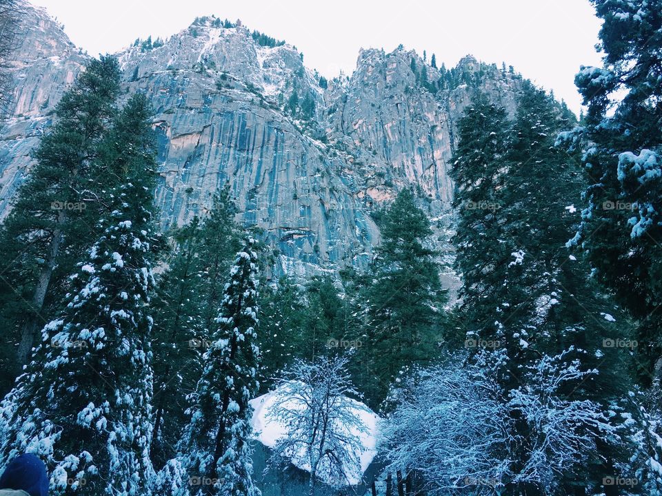 Winter in Yosemite 