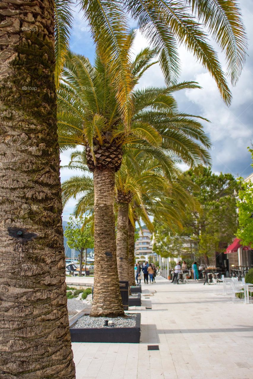 Summer time. Vocation abroad