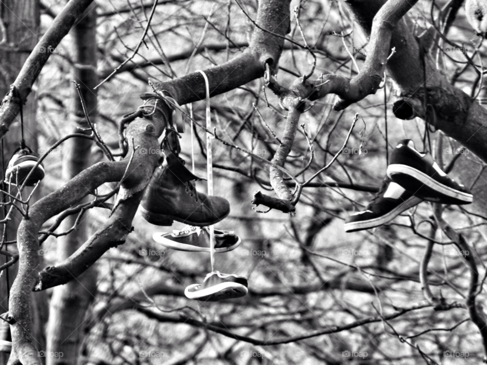 heaton tree shoes park by Raid1968