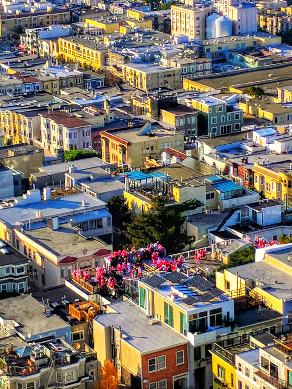 SAN FRANCISCO|california