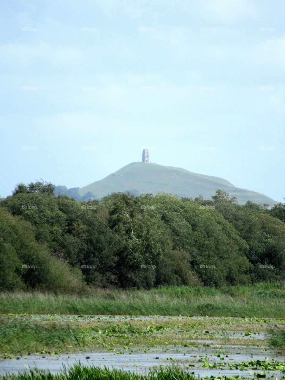 Shapwick heath national nature reserve with glastonbury tor in the distance