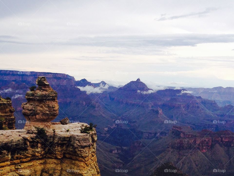 A curious view of the grand canyon