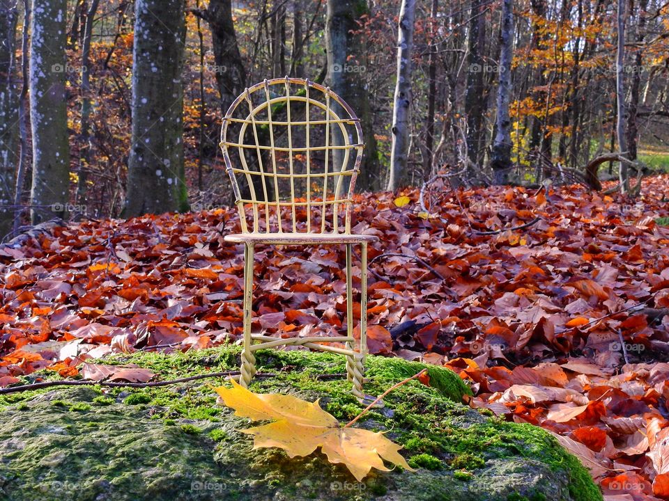 Chair in nature