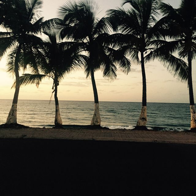 Beach, Ocean, Palm, Tropical, Sand