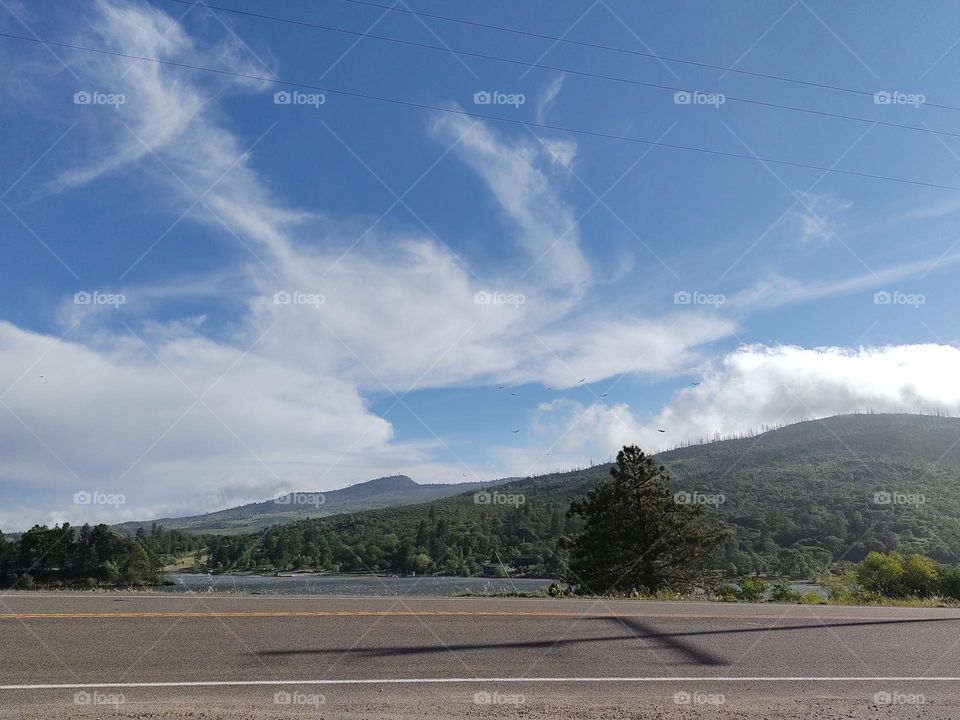 A road trip along the Sunrise Highway in California has great scenic views of Lake Cuyamaca.
If you're lucky, you might spot wild turkeys or deer foraging near the lake.
They especially seem to like the area of shoreline with a stand of quaking aspen