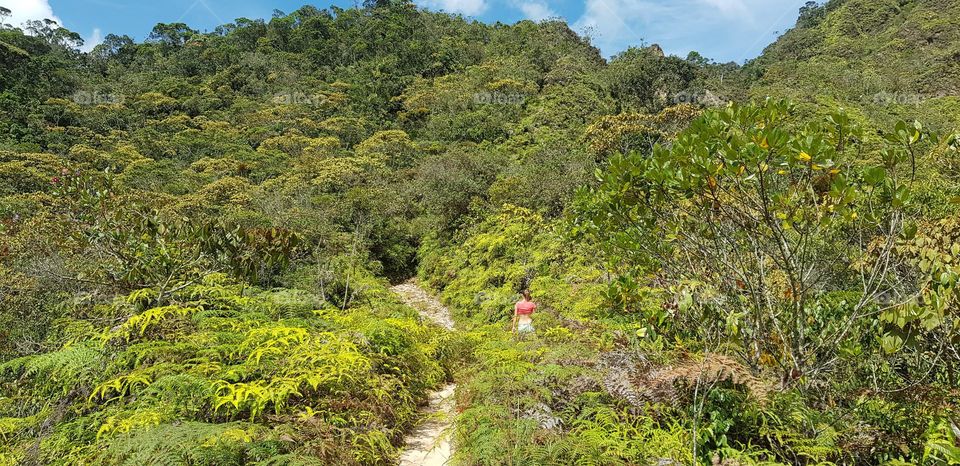 Girl walking among green landscape of Colombia