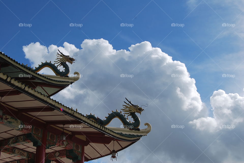 Dragons in the sky